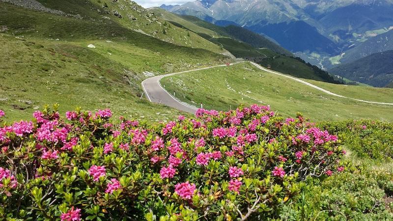 Pension Schoenblick كامبو دي تْرينْسْ المظهر الخارجي الصورة